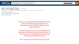 Here you are searching all New York State cases from
trial courts (lowest courts), appellate courts
(intermediate courts) ...