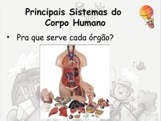 Principais Sistemas do
         Corpo Humano
• Pra que serve cada órgão?
 