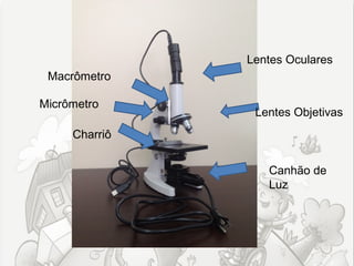 Lentes Oculares
 Macrômetro

Micrômetro
                Lentes Objetivas
     Charriô


                  Canhão de
                  Luz
 