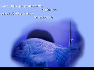 Era o maior que já tinha visto,
                              porém sua
pesca só era permitida
                        na temporada.




                              Ria Slides
 