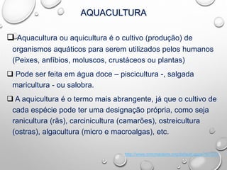 AQUACULTURA
 Aquacultura ou aquicultura é o cultivo (produção) de
organismos aquáticos para serem utilizados pelos humanos
(Peixes, anfíbios, moluscos, crustáceos ou plantas)
 Pode ser feita em água doce – piscicultura -, salgada
maricultura - ou salobra.
 A aquicultura é o termo mais abrangente, já que o cultivo de
cada espécie pode ter uma designação própria, como seja
ranicultura (rãs), carcinicultura (camarões), ostreicultura
(ostras), algacultura (micro e macroalgas), etc.
http://www.cmcmadeira.org/default.aspx?id=273
 