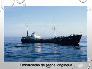 Embarcação de pesca longínqua
 