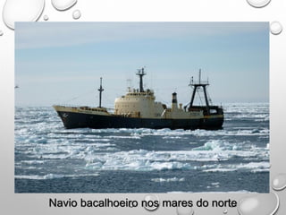 Navio bacalhoeiro nos mares do norte
 