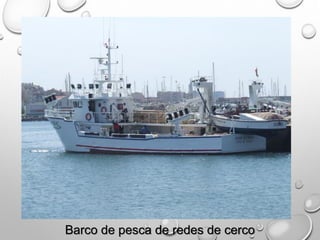 Barco de pesca de redes de cerco
 