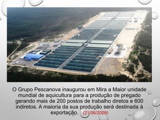 O Grupo Pescanova inaugurou em Mira a Maior unidade
mundial de aquicultura para a produção de pregado
gerando mais de 200 postos de trabalho diretos e 600
indiretos. A maioria da sua produção será destinada à
exportação. (21/06/2009)
 