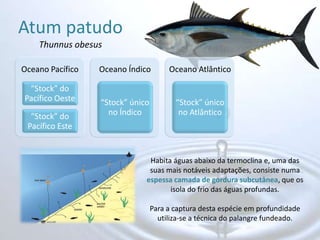 Atum patudoThunnus obesusHabita águas abaixo da termoclina e, uma das suas mais notáveis adaptações, consiste numa espessa camada de gordura subcutânea, que os isola do frio das águas profundas.Para a captura desta espécie em profundidade utiliza-se a técnica do palangre fundeado. 