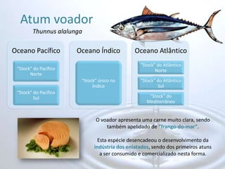 Atum voador Thunnus alalungaO voador apresenta uma carne muito clara, sendo também apelidado de “frango-do-mar”. Esta espécie desencadeou o desenvolvimento da indústria dos enlatados, sendo dos primeiros atuns a ser consumido e comercializado nesta forma.
