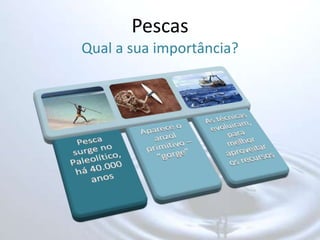 PescasQual a sua importância?