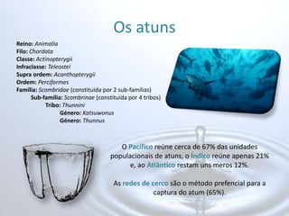 Os atunsReino:AnimaliaFilo:ChordataClasse:ActinopterygiiInfraclasse:TeleosteiSupra ordem:AcanthopterygiiOrdem:PerciformesFamília:Scombridae (constituída por 2 sub-famílias)Sub-família:Scombrinae (constituída por 4 tribos)Tribo:ThunniniGénero:KatsuwonusGénero:ThunnusOPacíficoreúne cerca de 67% das unidades populacionais de atuns, o Índicoreúne apenas 21% e, ao Atlântico restam uns meros 12%.As redes de cerco são o método prefencial para a captura do atum (65%).
