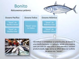 BonitoKatsuwonus pelamisIdentificar e contabilizar as populacções de bonito é uma tarefa bastante complicada, sendo uma espécie com um ciclo de vida curto e uma elevada e variável produtividade, logo, torna-se difícil detectar o efeito da pesca nos “stocks”.