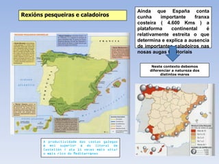 Aínda que España conta
Rexións pesqueiras e caladoiros   cunha     importante     franxa
                                  costeira ( 4.600 Kms ) a
                                  plataforma    continental     é
                                  relativamente estreita o que
                                  determina e explica a ausencia
                                  de importantes caladoiros nas
                                  nosas augas territoriais

                                        Neste contexto debemos
                                       diferenciar a natureza dos
                                             distintos mares




       é            á
               ó            á
           á            á
 
