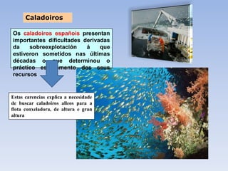 Caladoiros

Os caladoiros españois presentan
importantes dificultades derivadas
da    sobreexplotación    á    que
estiveron sometidos nas últimas
décadas o que determinou o
práctico esgotamento dos seus
recursos


Estas carencias explica a necesidade
de buscar caladoiros alleos para a
flota conxeladora, de altura e gran
altura
 