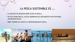 • LA GESTIÓN DE RESIDUOS DEBE ESTAR EN REGLA;
• NO ESTÁ PERMITIDO EL USO DE HORMONAS DE CRECIMIENTO NI DE PINTURAS
ANTIINCRUSTANTES.
• DEBE TENERSE EN CUENTA LA RESPONSABILIDAD SOCIAL.
LA PESCA SOSTENIBLE ES ….
 