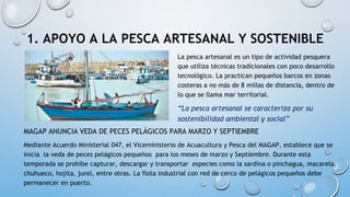 1. APOYO A LA PESCA ARTESANAL Y SOSTENIBLE
La pesca artesanal es un tipo de actividad pesquera
que utiliza técnicas tradicionales con poco desarrollo
tecnológico. La practican pequeños barcos en zonas
costeras a no más de 8 millas de distancia, dentro de
lo que se llama mar territorial.
“La pesca artesanal se caracteriza por su
sostenibilidad ambiental y social”
MAGAP ANUNCIA VEDA DE PECES PELÁGICOS PARA MARZO Y SEPTIEMBRE
Mediante Acuerdo Ministerial 047, el Viceministerio de Acuacultura y Pesca del MAGAP, establece que se
inicia la veda de peces pelágicos pequeños para los meses de marzo y Septiembre. Durante esta
temporada se prohíbe capturar, descargar y transportar especies como la sardina o pinchagua, macarela,
chuhueco, hojita, jurel, entre otras. La flota industrial con red de cerco de pelágicos pequeños debe
permanecer en puerto.
 