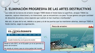 2. ELIMINACIÓN PROGRESIVA DE LAS ARTES DESTRUCTIVAS
Desde el año 2012, en el Ecuador ya no se permite la
pesca de arrastre.
No siendo el mismo caso en otros países del mundo.
Las redes de los barcos de arrastre recogen TODO desde el fondo hasta la superficie, atrapan TODAS las
especies, captura intencional y no intencional, que se encuentran a su paso “lo que genera una gran cantidad
de descartes de peces y otras especies que vuelven al mar muertas o moribundas”.
Más aún, el paso de la red, debido a su peso y al de las puertas que las mantienen abiertas, destruye TODO el
fondo marino, según la organización.
Pesca de arrastre:
VS.
 