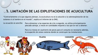5. LIMITACIÓN DE LAS EXPLOTACIONES DE ACUICULTURA
“Contrariamente a lo que algunos piensan, la acuicultura no es la solución a la sobreexplotación de los
océanos ni al hambre en el mundo”, explica el informe de la ONG.
La ecuación es sencilla: Para alimentar a las especies de cría o engorde, se utiliza principalmente
pescado salvaje, a veces en cantidades mayores a las que se van a obtener.
Para la crianza en cautiverio de peces para el consumo es necesaria además,
la ocupación de zonas costeras donde se construyen las instalaciones.
POLLO PAVO TILAPIA CAMARÓN Y MAS
 