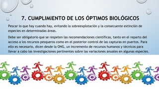 7. CUMPLIMIENTO DE LOS ÓPTIMOS BIOLÓGICOS
Pescar lo que hay cuando hay, evitando la sobreexplotación y la consecuente extinción de
especies en determinadas áreas.
Debe ser obligatorio que se respeten las recomendaciones científicas, tanto en el reparto del
acceso a los recursos pesqueros como en el posterior control de las capturas en puertos. Para
ello es necesario, dicen desde la ONG, un incremento de recursos humanos y técnicos para
llevar a cabo las investigaciones pertinentes sobre las variaciones anuales en algunas especies.
 
