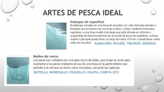 ARTES DE PESCA IDEAL
ALBACORA, PICUDO, TIBURON, DORADO
BOTELLA, MORENILLO, PICUDILLO, HOJITA, CARITA, ETC
 