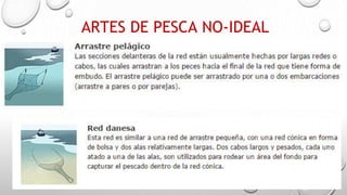 ARTES DE PESCA NO-IDEAL
 