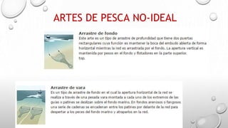 ARTES DE PESCA NO-IDEAL
 
