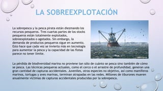 La sobrepesca y la pesca pirata están diezmando los
recursos pesqueros. Tres cuartas partes de los stocks
pesqueros están totalmente explotados,
sobreexplotados o agotados. Sin embargo, la
demanda de productos pesqueros sigue en aumento.
Esto hace que cada vez se invierta más en tecnología
para aumentar la pesca y la capacidad de las flotas
parece no tener límite.
La pérdida de biodiversidad marina no proviene tan sólo de cuánto se pesca sino también de cómo
se pesca. Las técnicas pesqueras actuales, como el cerco o el arrastre de profundidad, generan una
gran cantidad de capturas accidentales. Juveniles, otras especies no objetivo, así como mamíferos
marinos, tortugas y aves marinas, terminan atrapadas en las redes. Millones de tiburones mueren
anualmente víctimas de capturas accidentales producidas por la sobrepesca.
LA SOBREEXPLOTACIÓN
 
