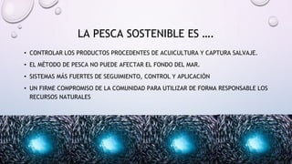 • CONTROLAR LOS PRODUCTOS PROCEDENTES DE ACUICULTURA Y CAPTURA SALVAJE.
• EL MÉTODO DE PESCA NO PUEDE AFECTAR EL FONDO DEL MAR.
• SISTEMAS MÁS FUERTES DE SEGUIMIENTO, CONTROL Y APLICACIÓN
• UN FIRME COMPROMISO DE LA COMUNIDAD PARA UTILIZAR DE FORMA RESPONSABLE LOS
RECURSOS NATURALES
LA PESCA SOSTENIBLE ES ….
 