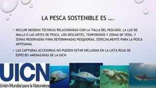 • INCLUIR MEDIDAS TÉCNICAS RELACIONADAS CON LA TALLA DEL PESCADO, LA LUZ DE
MALLA O LAS ARTES DE PESCA, LOS DESCARTES, TEMPORADAS Y ZONAS DE VEDA, Y
ZONAS RESERVADAS PARA DETERMINADAS PESQUERÍAS, ESPECIALMENTE PARA LA PESCA
ARTESANAL
• LAS CAPTURAS ACCESORIAS NO PUEDEN ESTAR INCLUIDAS EN LA LISTA ROJA DE
ESPECIES AMENAZADAS DE LA UICN
LA PESCA SOSTENIBLE ES ….
 