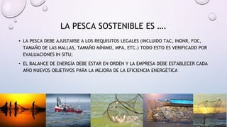 • LA PESCA DEBE AJUSTARSE A LOS REQUISITOS LEGALES (INCLUIDO TAC, INDNR, FOC,
TAMAÑO DE LAS MALLAS, TAMAÑO MÍNIMO, MPA, ETC.) TODO ESTO ES VERIFICADO POR
EVALUACIONES IN SITU;
• EL BALANCE DE ENERGÍA DEBE ESTAR EN ORDEN Y LA EMPRESA DEBE ESTABLECER CADA
AÑO NUEVOS OBJETIVOS PARA LA MEJORA DE LA EFICIENCIA ENERGÉTICA
LA PESCA SOSTENIBLE ES ….
 