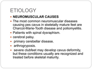 ETIOLOGY
 NEUROMUSCULAR CAUSES
 The most common neuromuscular diseases
causing pes cavus in skeletally mature feet are
Charcot-Marie-Tooth disease and poliomyelitis.
 Patients with spinal dysraphism.
 cerebral palsy.
 primary cerebellar disease.
 arthrogryposis.
 severe clubfeet may develop cavus deformity,
but these conditions usually are recognized and
treated before skeletal maturity.
 