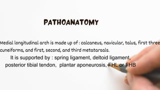 Medial longitudinal arch is made up of : calcaneus, navicular, talus, first three
cuneiforms, and first, second, and third metatarsals.
It is supported by : spring ligament, deltoid ligament,
posterior tibial tendon, plantar aponeurosis, FHL or FHB
 