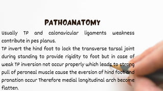 Usually TP and calonavicular ligaments weakness
contribute in pes planus.
TP invert the hind foot to lock the transverse tarsal joint
during standing to provide rigidity to foot but in case of
weak TP inversion not occur properly which leads to strong
pull of peroneal muscle cause the eversion of hind foot and
pronation occur Therefore medial longitudinal arch become
flatten.
 