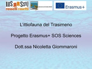 L’ittiofauna del Trasimeno
Progetto Erasmus+ SOS Sciences
Dott.ssa Nicoletta Giommaroni
 
