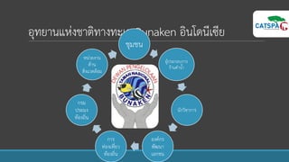 อุทยานแห่งชาติทางทะเล Bunaken อินโดนีเซีย
ชุมชน
ผู้ประกอบการ
ร้านดาน้า
นักวิชาการ
องค์กร
พัฒนา
เอกชน
การ
ท่องเที่ยว
ท้องถิ่น
กรม
ประมง
ท้องถิ่น
หน่วยงาน
ด้าน
สิ่งแวดล้อม
 