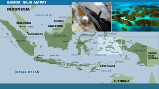 การเพาะเลี้ยงไข่มุกปาปัว ประเทศอินโดนีเซีย
บริษัท PT Cendana Indopearls (CIP) บริษัทลูกของบริษัท South Sea Pearl
ได้ทาสัญญ...