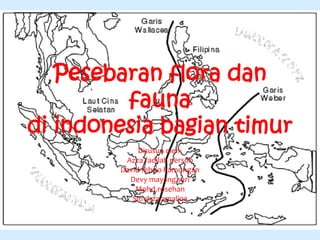 Pesebaran flora dan
fauna
di indonesia bagian timur
Disusun oleh:
Azza fadilah person
David febrio hamongan
Devy mayang sari
Mohd.rosehan
Siti dyfa amalina
 