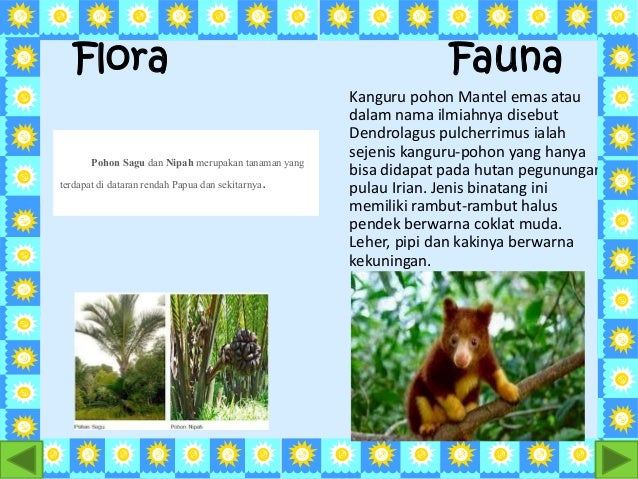 Unduh 76 Gambar Flora Dan Fauna Benua Australia Paling Baru HD