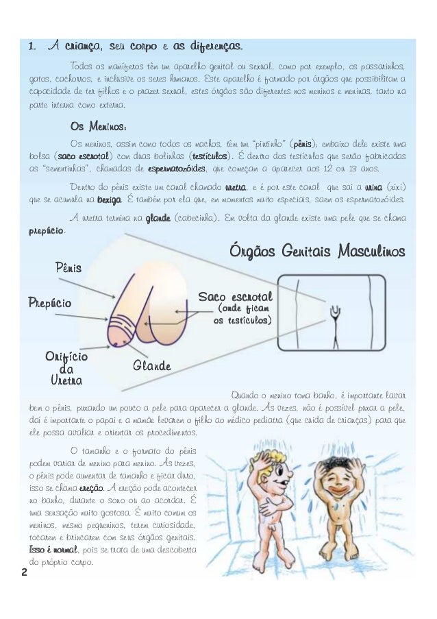 1. A criança, seu corpo e as diferenças.
Todos os mamíferos têm um aparelho genital ou sexual, como por exemplo, os passar...