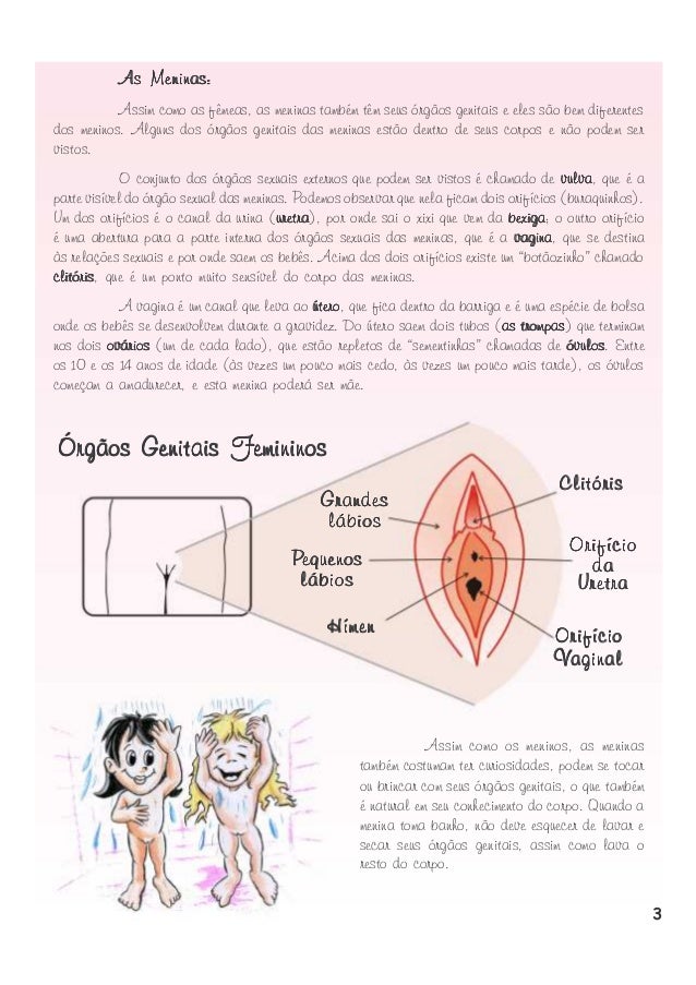 As Meninas:
Assim como as fêmeas, as meninas também têm seus órgãos genitais e eles são bem diferentes
dos meninos. Alguns...