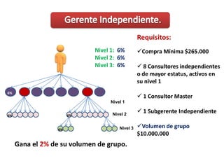  Toallas para cocina.