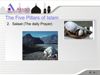 2. Salaat (The daily Prayer)
The Five Pillars of Islam
 