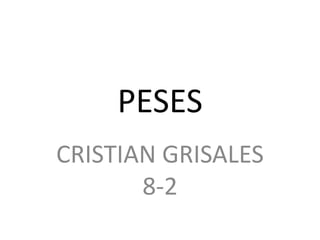 PESES CRISTIAN GRISALES 8-2