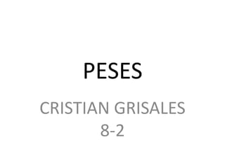 PESES  CRISTIAN GRISALES 8-2  