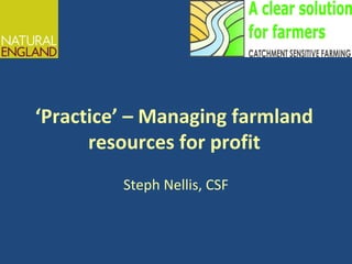 ‘Practice’ – Managing farmland
resources for profit
Steph Nellis, CSF
 