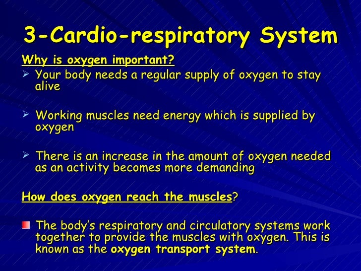PE SG Revision Activities and The Body