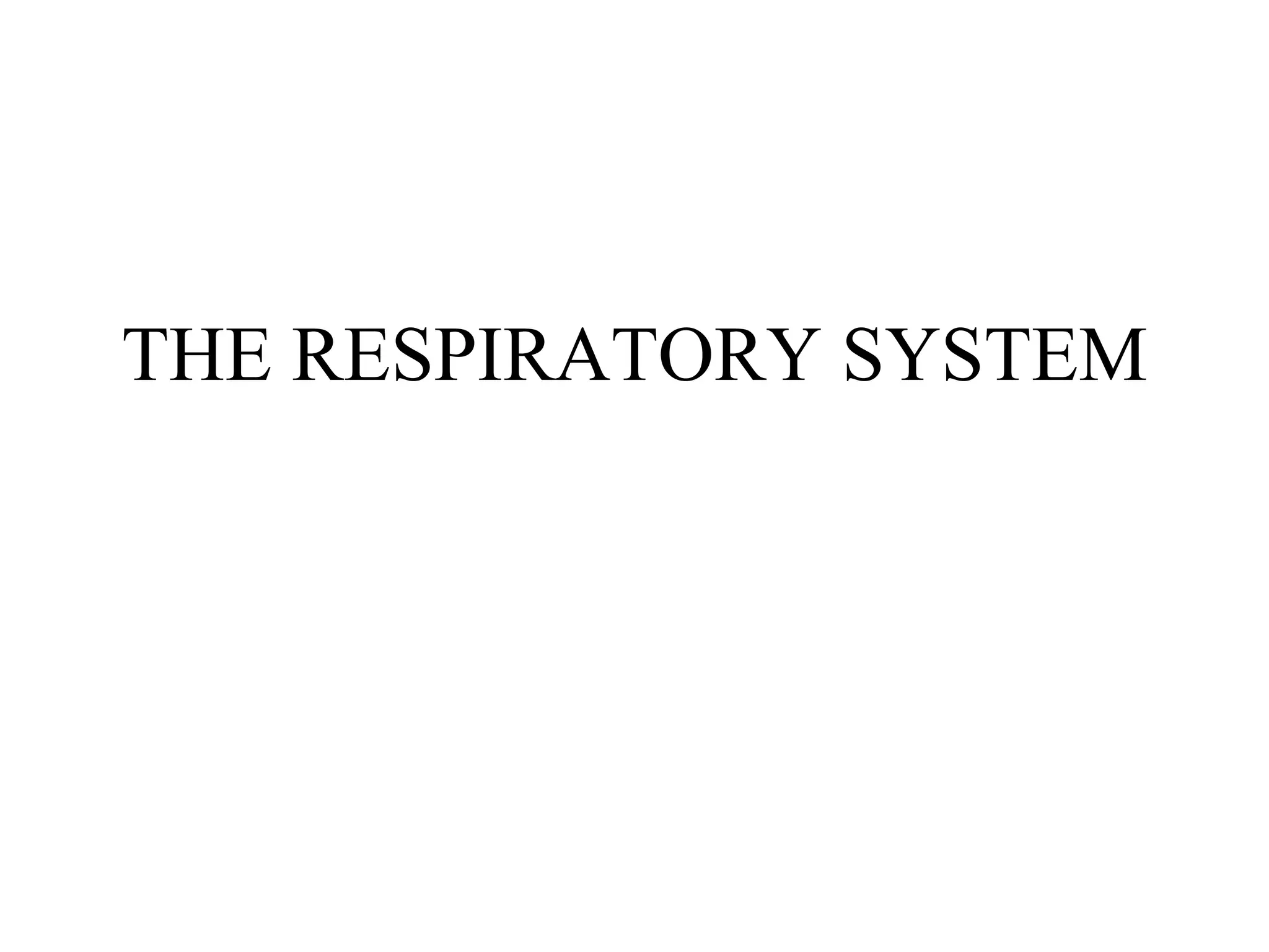 THE RESPIRATORY SYSTEM 