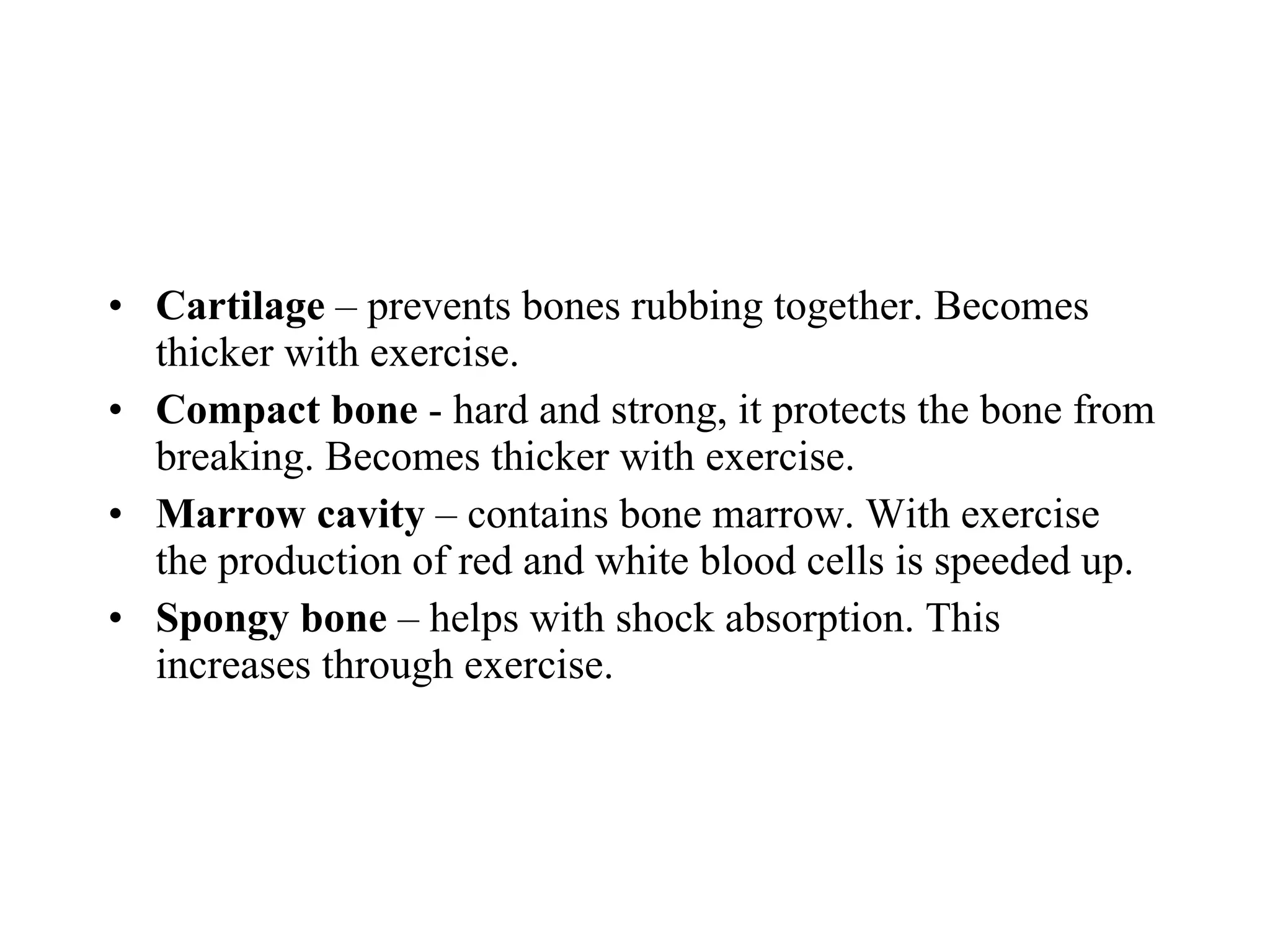 Cartilage  – prevents bones rubbing together. Becomes thicker with exercise. Compact bone  - hard and strong, it protects the bone from breaking. Becomes thicker with exercise. Marrow cavity  – contains bone marrow. With exercise the production of red and white blood cells is speeded up. Spongy bone  – helps with shock absorption. This increases through exercise. 