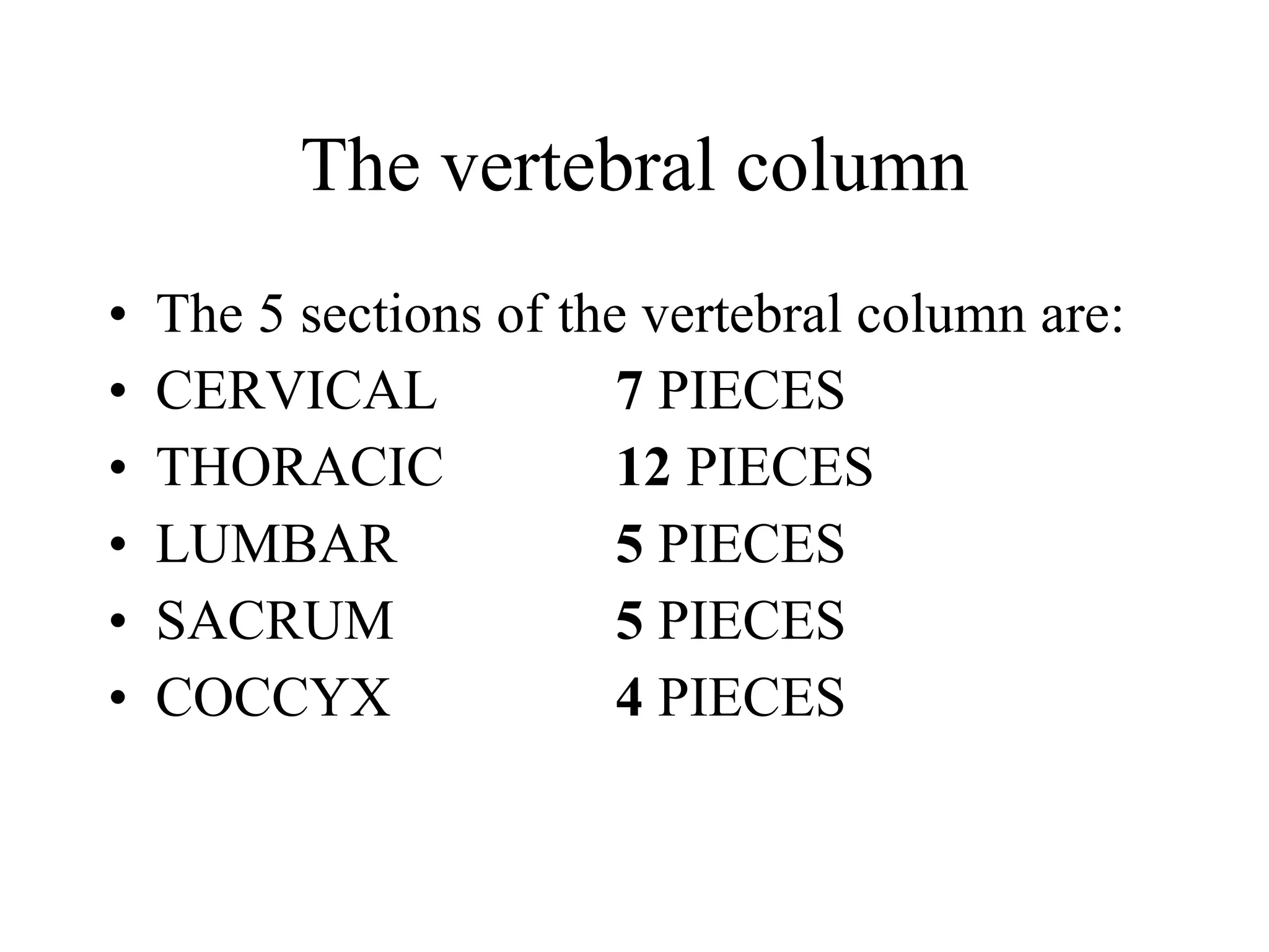 The vertebral column The 5 sections of the vertebral column are: CERVICAL 7  PIECES THORACIC 12  PIECES LUMBAR 5  PIECES SACRUM 5  PIECES COCCYX 4  PIECES 