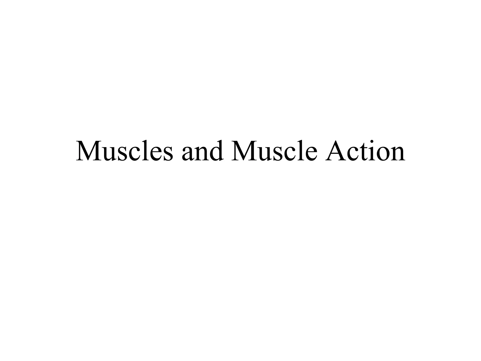 Muscles and Muscle Action 