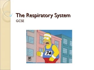 The Respiratory System  GCSE  