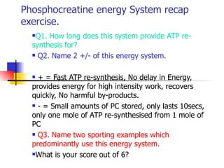 Phosphocreatine energy System recap exercise. ,[object Object],[object Object],[object Object],[object Object],[object Object],[object Object]